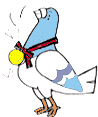 鳩イメージ